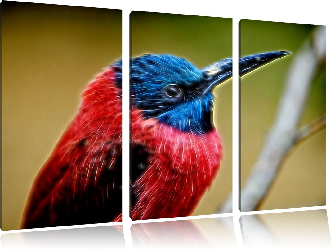 kleiner tropischer Vogel Spezial 3-Teiler Leinwandbild 120x80 Bild auf Leinwand, XXL riesige Bilder