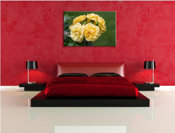 Weiss gelbe Rose Blumen USA Bild auf Leinwand, XXL riesige Bilder fertig gerahmt mit Keilrahmen. Kun
