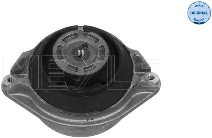 Meyle 014 024 9062 Lagerung, Motor
