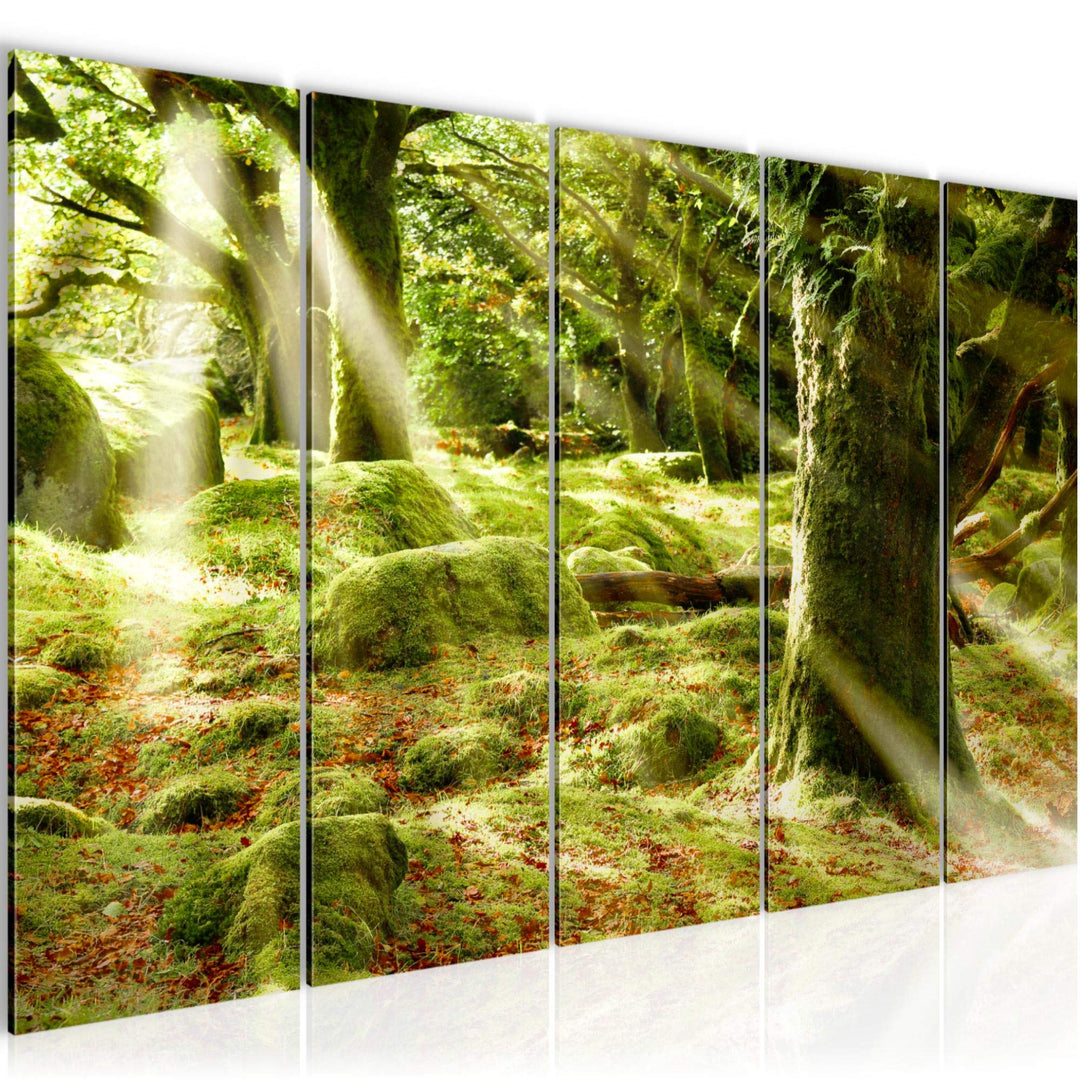 Runa Art Bild Wald Landschaft Wandbilder auf Vlies Leinwand 5 Teilig Wanddekoration Schlafzimmer Woh