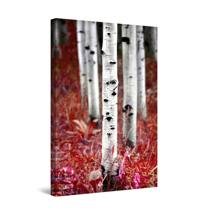 Startonight Bilder Aspen-Waldbäume, Leinwandbilder Moderne Kunst, Rot Natur Wanddeko Kunstdrucke, Wa