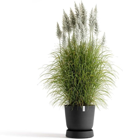 ECOPOTS Untersetzer rollbar für Blumentopf Oslo 35 dunkelgrau rund - Durchmesser innen 28 cm/aussen