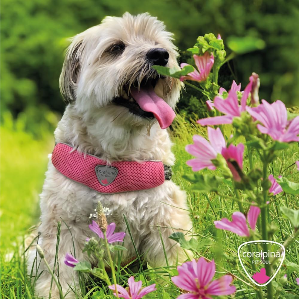 Coralpina Fiames Hundegeschirr für Hunde, verstellbar, dynamische Bewegung, bequem, reflektierend, G