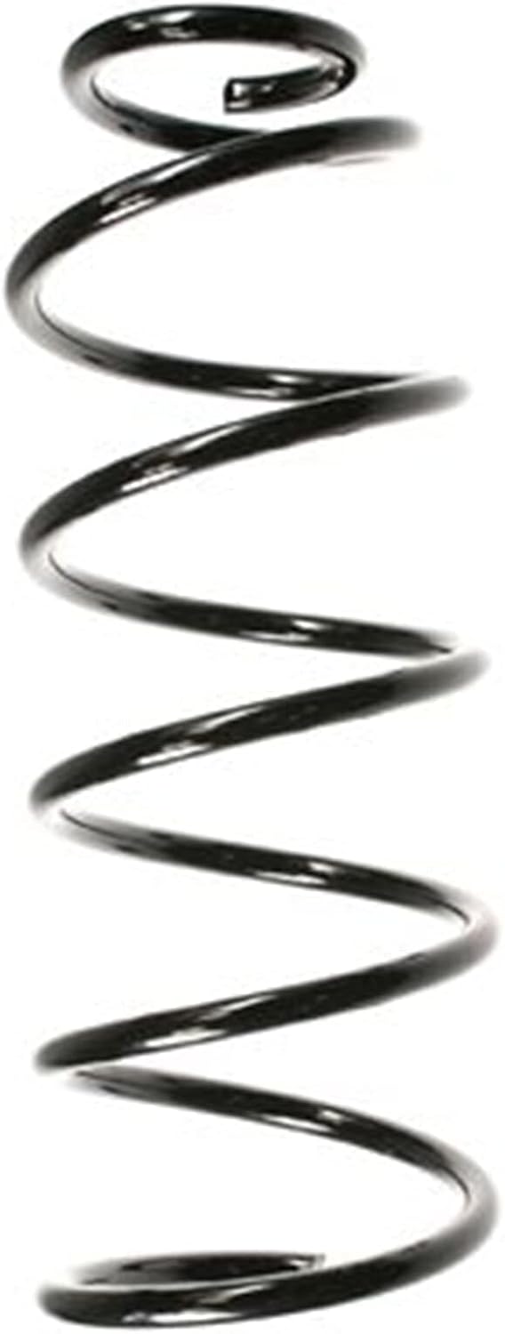 SPIDAN 48624 Fahrwerksfeder