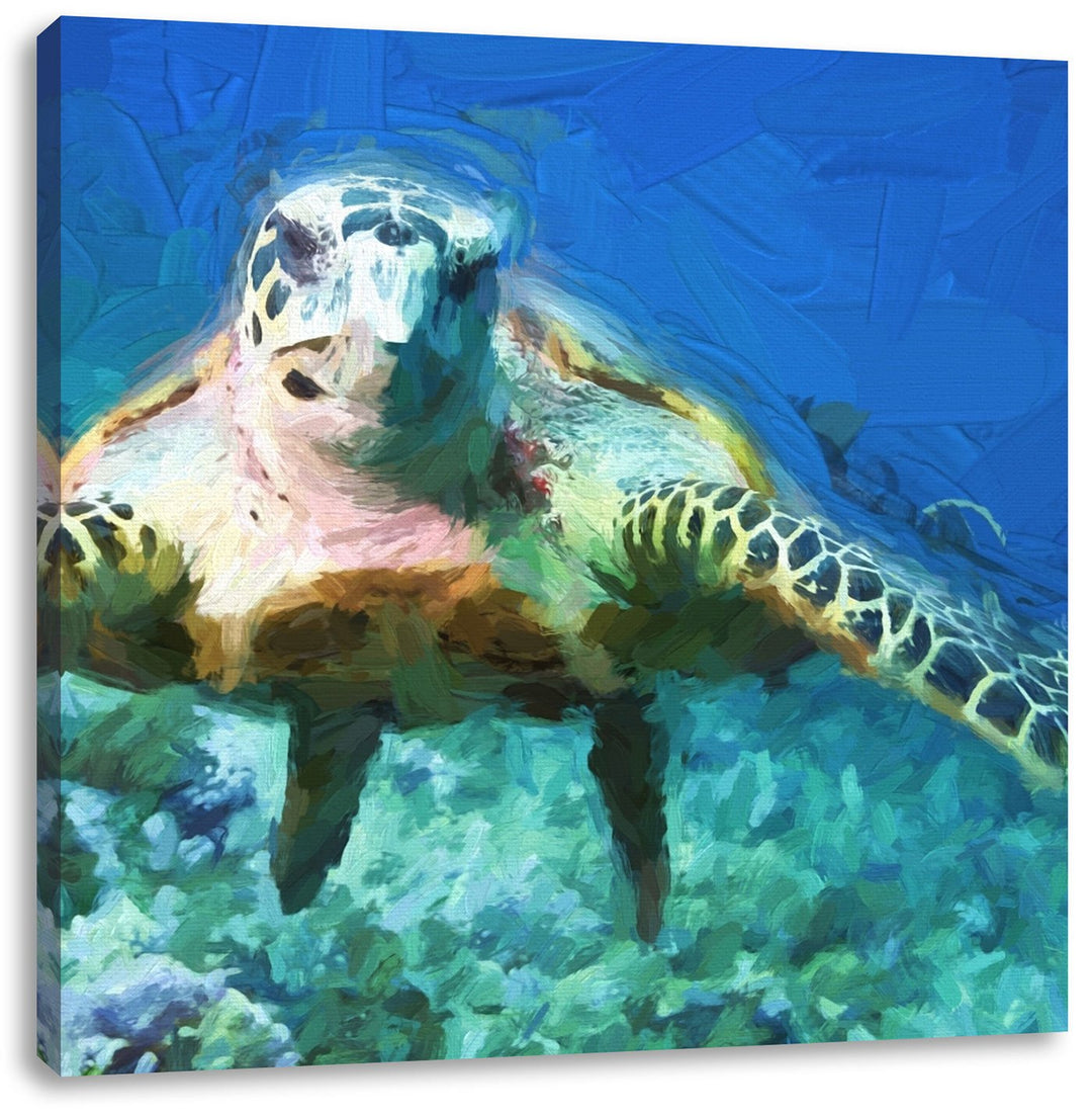 Pixxprint Anmutige Schildkröte im Meer als Leinwandbild/Grösse: 70x70 cm/Wandbild/Kunstdruck/fertig