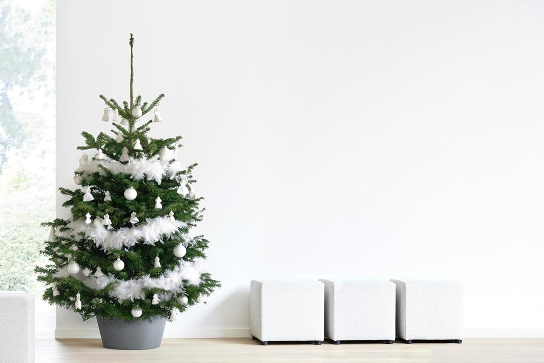 Ecopots Christbaumständer mit Wasserspeicher für Bäume bis 3,00 m Baumhöhe umkippsicher - Tannenbaum
