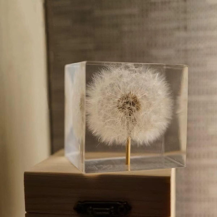 DESHINTKE Briefbeschwerer mit Pusteblume in Würfelform, mit Holzbox, 5,1 cm, transparent, echte Löwe
