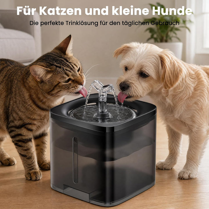 Katzenbrunnen Trinkbrunnen für Katzen, Leiser Katzen Trinkbrunnen mit 4-fach Filtersystem &amp; Zirkulat