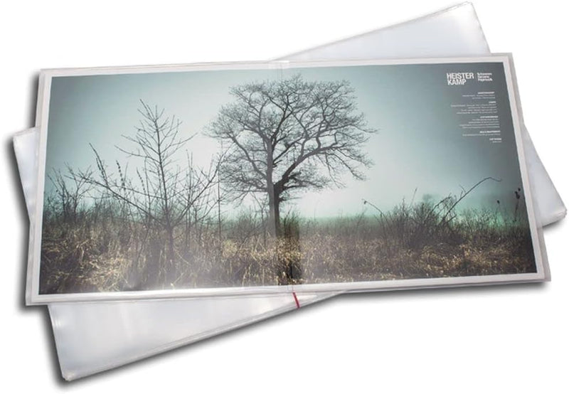 Protected Doppel LP Schutzhüllen aus PE (50 Stück)
