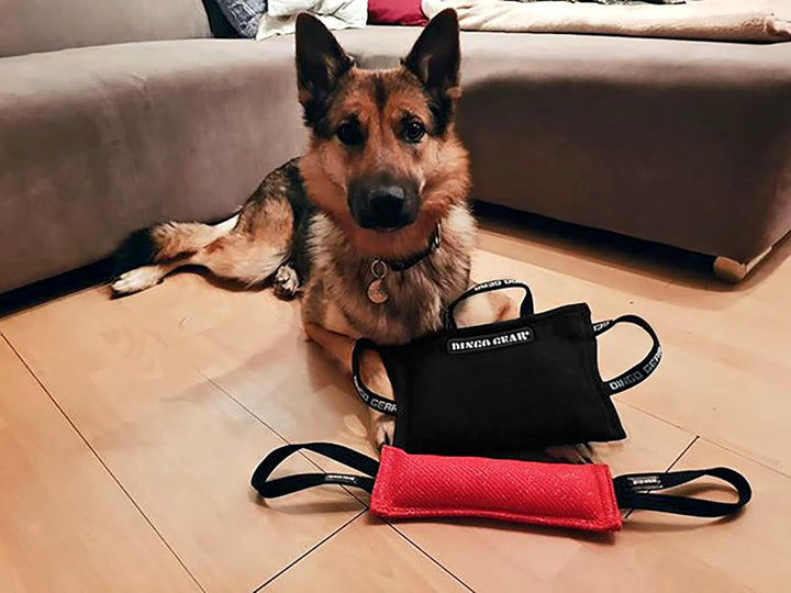 Dingo Gear Beisskissen Keilform Medium Weich aus Baumwolle-Nylon Schwarz IPO IGP K9 Training Ausbild