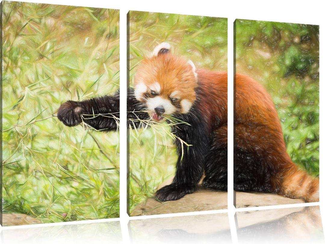 Pixxprint Niedlicher roter Panda Bunstift Effekt 3-Teiler Leinwandbild 120x80 Bild auf Leinwand