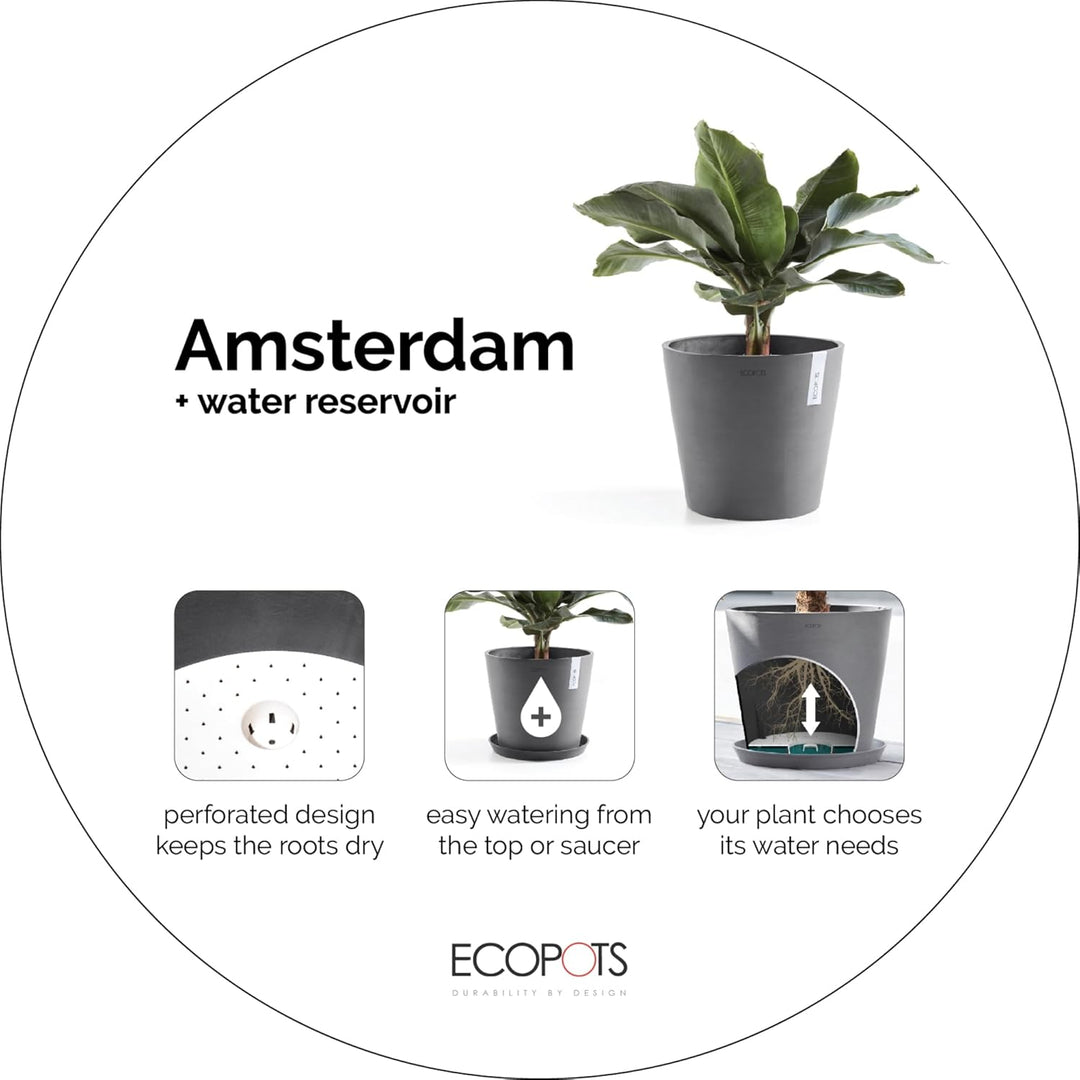 Ecopots Amsterdam 20 + Blumentopf mit Wasserreservoir - L 20 cm x H 17,2 cm - Innen- und Aussenberei