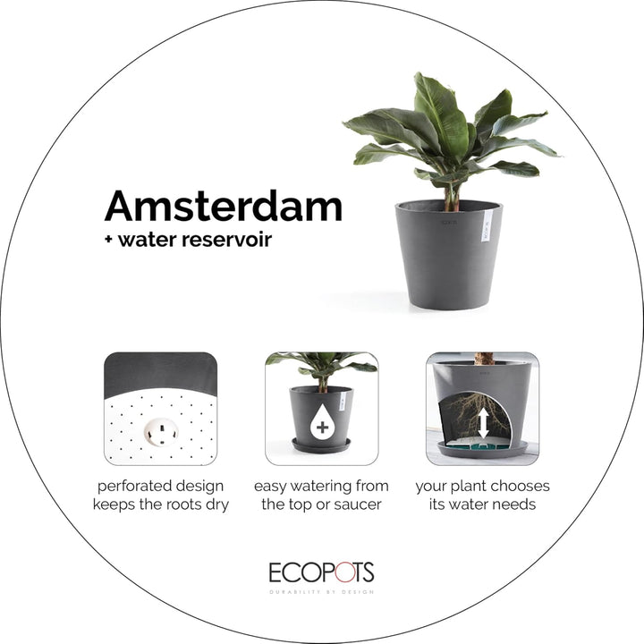 Ecopots Amsterdam 20 + Blumentopf mit Wasserreservoir - L 20 cm x H 17,2 cm - Innen- und Aussenberei