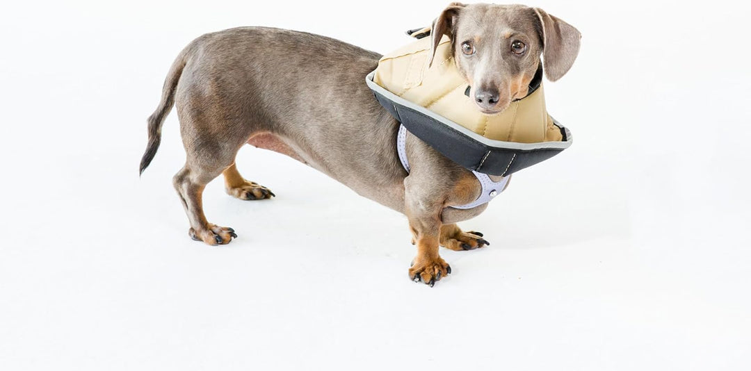All Four Paws „The Comfy Cone“ Halskrause für Haustiere,Small Small hautfarben, Small hautfarben