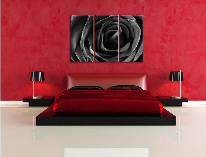 Pixxprint Rote Rose als Leinwandbild/Grösse: 3 Teilig (120x80) cm/Wandbild/Kunstdruck/fertig bespann