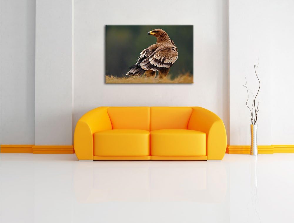 Pixxprint Einsamer Falke mit braunem Gefieder, Format: 100x70 auf Leinwand, 100x70