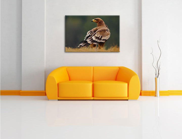 Pixxprint Einsamer Falke mit braunem Gefieder, Format: 100x70 auf Leinwand, 100x70