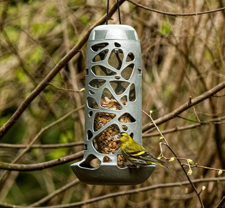 Elles Fettfutter 20kg I Energiespender mit 100% natürlichen Zutaten | Ganzjähriges Wildvogelfutter f