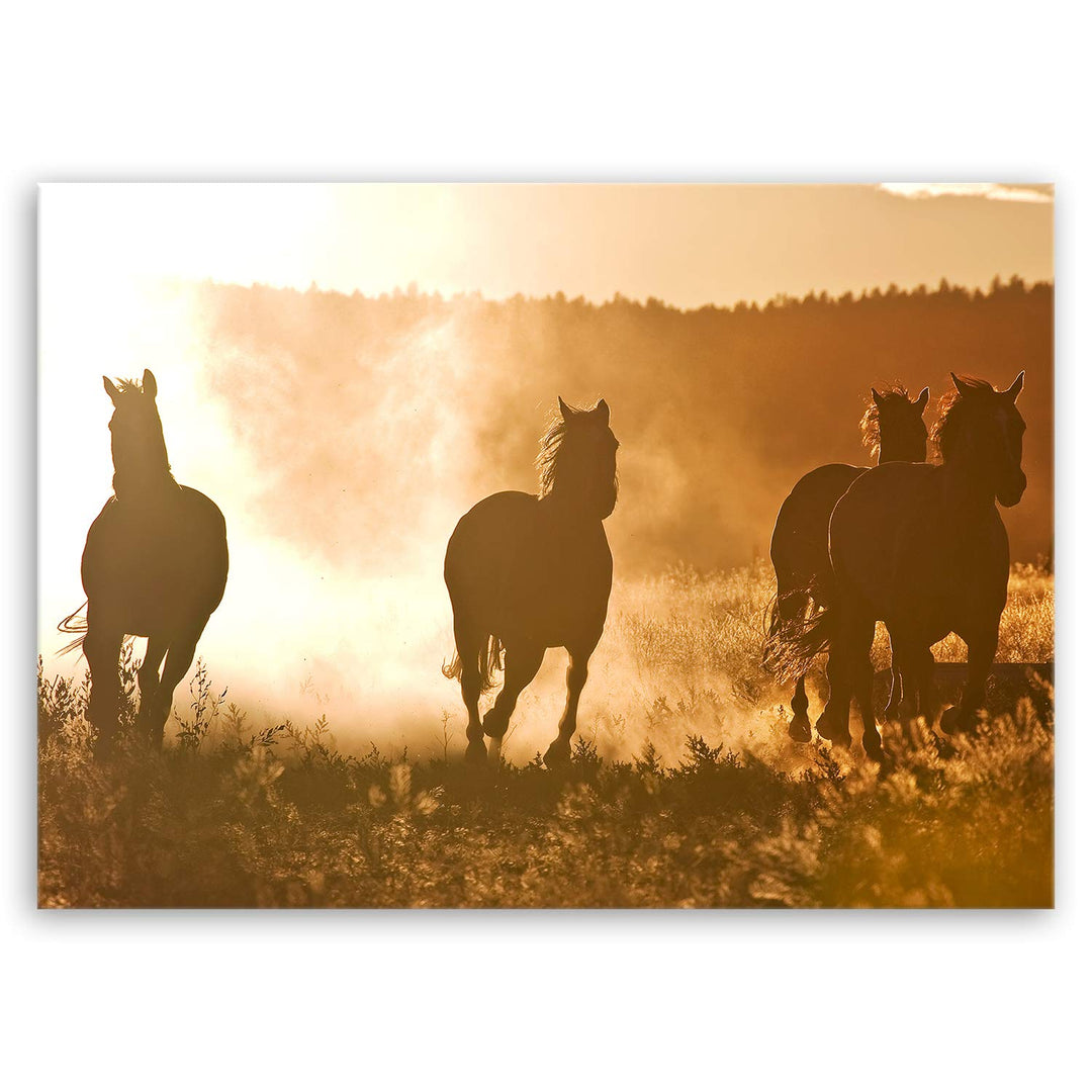 ge Bildet Bild auf Leinwand | Landschaftsbilder - horses at dawn M in 70x50 cm als Wandbild | Wand-d