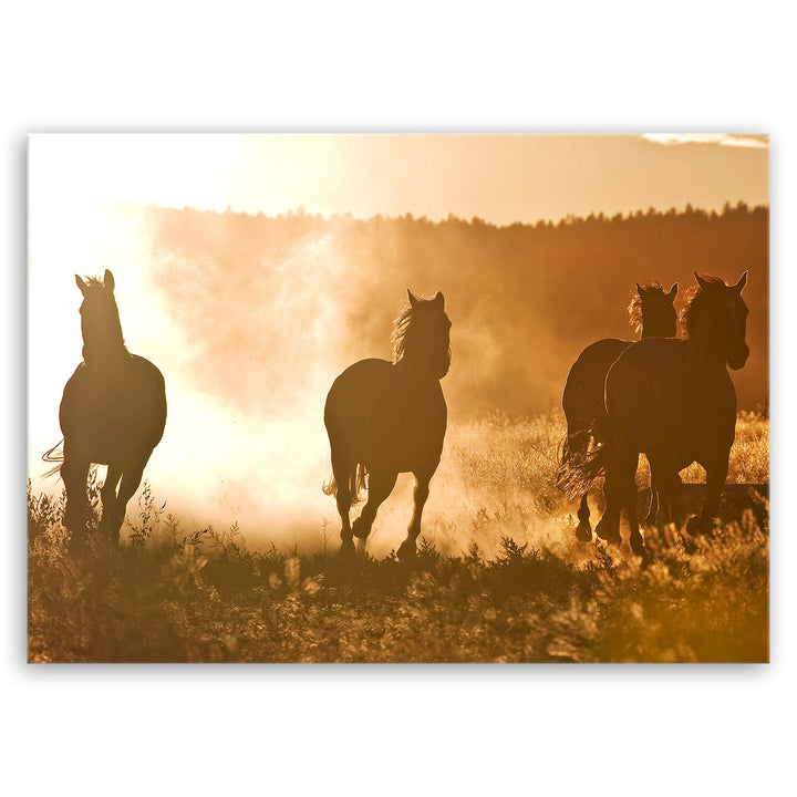 ge Bildet Bild auf Leinwand | Landschaftsbilder - horses at dawn M in 70x50 cm als Wandbild | Wand-d
