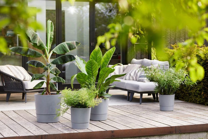 elho Greensense Aqua Care Rund 43 mit Integrierte Wasserspeicher - Blumentopf für Innen &amp; Aussen - 1
