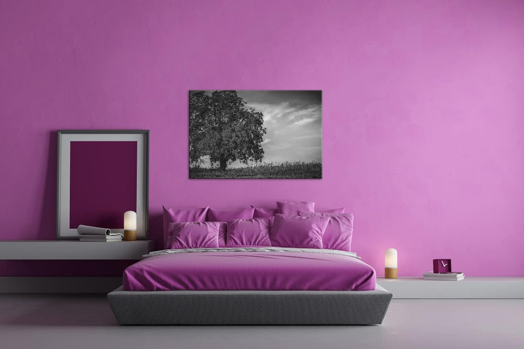 deyoli Herbstliche Landschaft Format: 80x60 als Leinwand, Effekt: Schwarz&Weiss, Motiv fertig gerahm