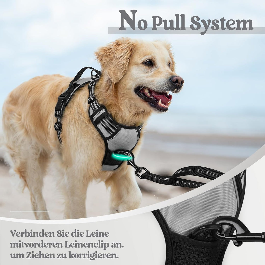 rabbitgoo Hundegeschirr Mittelgrosse Hunde, Anti Zug Geschirr mit Kontrolle, No Pull Verstellbar Hun