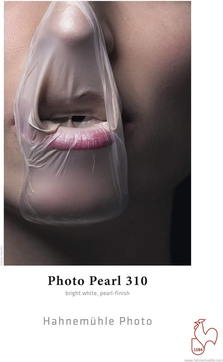 Hahnemühle 10641963 Photo Pearl Papier, 310 g/m², DIN A2, 420 x 594 mm, hellweiss, 420 x 594 mm