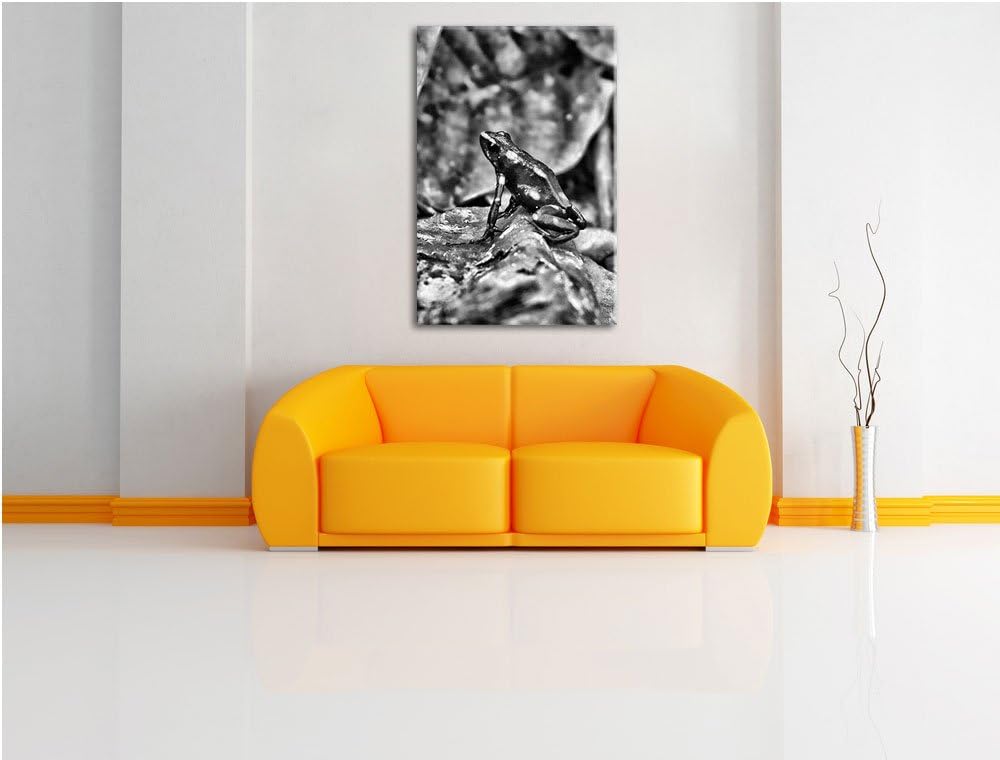 Pixxprint Baumsteiger Frosch als Leinwandbild/Grösse: 100x70 cm/Wandbild/Kunstdruck/fertig bespannt,