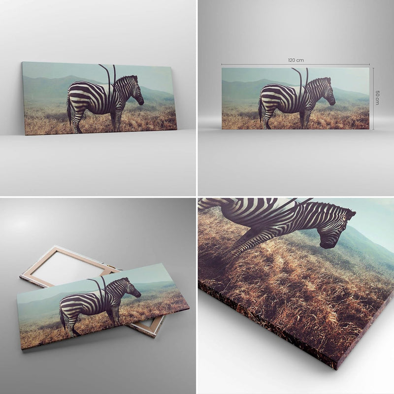 Wandbilder Dekoration Wohnzimmer Zebra Tier Wiese Panorama Bilder auf Leinwand 120x50cm Leinwandbild