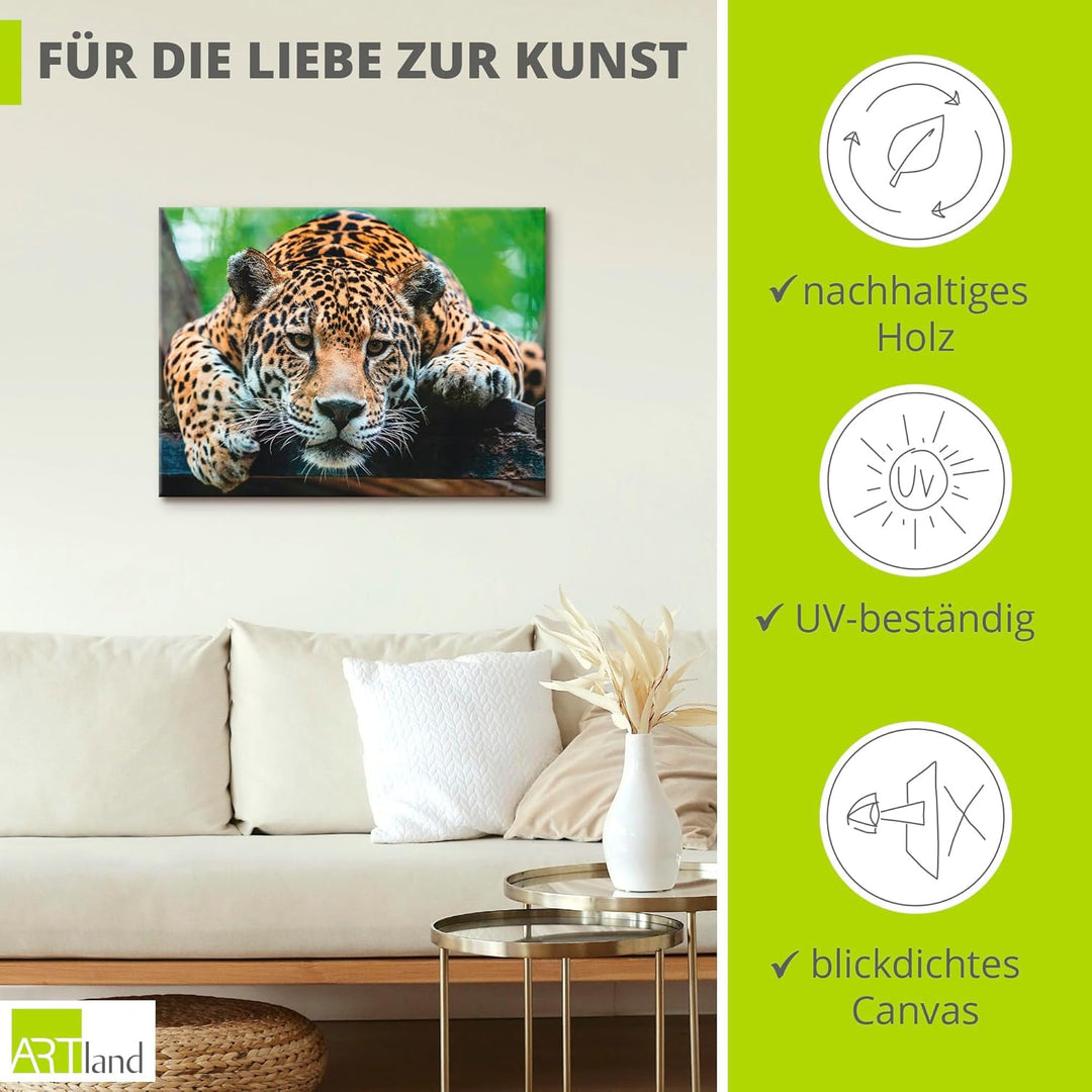ARTland Leinwandbilder Wandbild Bild auf Leinwand 60x45 cm Tiere Wildtiere Raubkatze Fotografie Brau