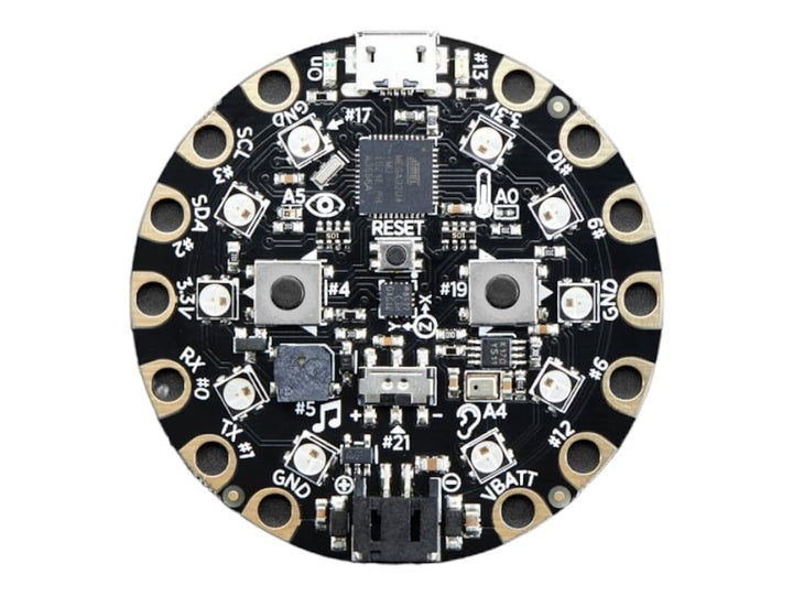 Circuit Playground - Developer Edition