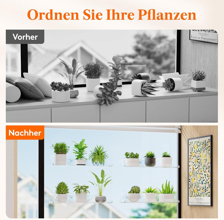 Lifewit Fenster Pflanzenregale, 4 Stück, 38cm, Transparent Regal Saugnapf, Fensterwand-Pflanzenständ