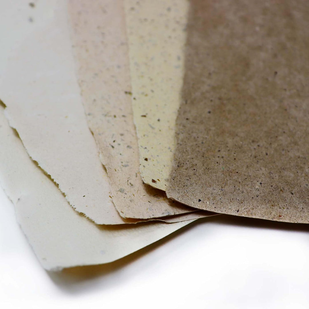 Artway Tree Free Paper Pack – Die Kollektion (25xA4-Blatt) von fünf pflanzlichen Faserpapieren, geei