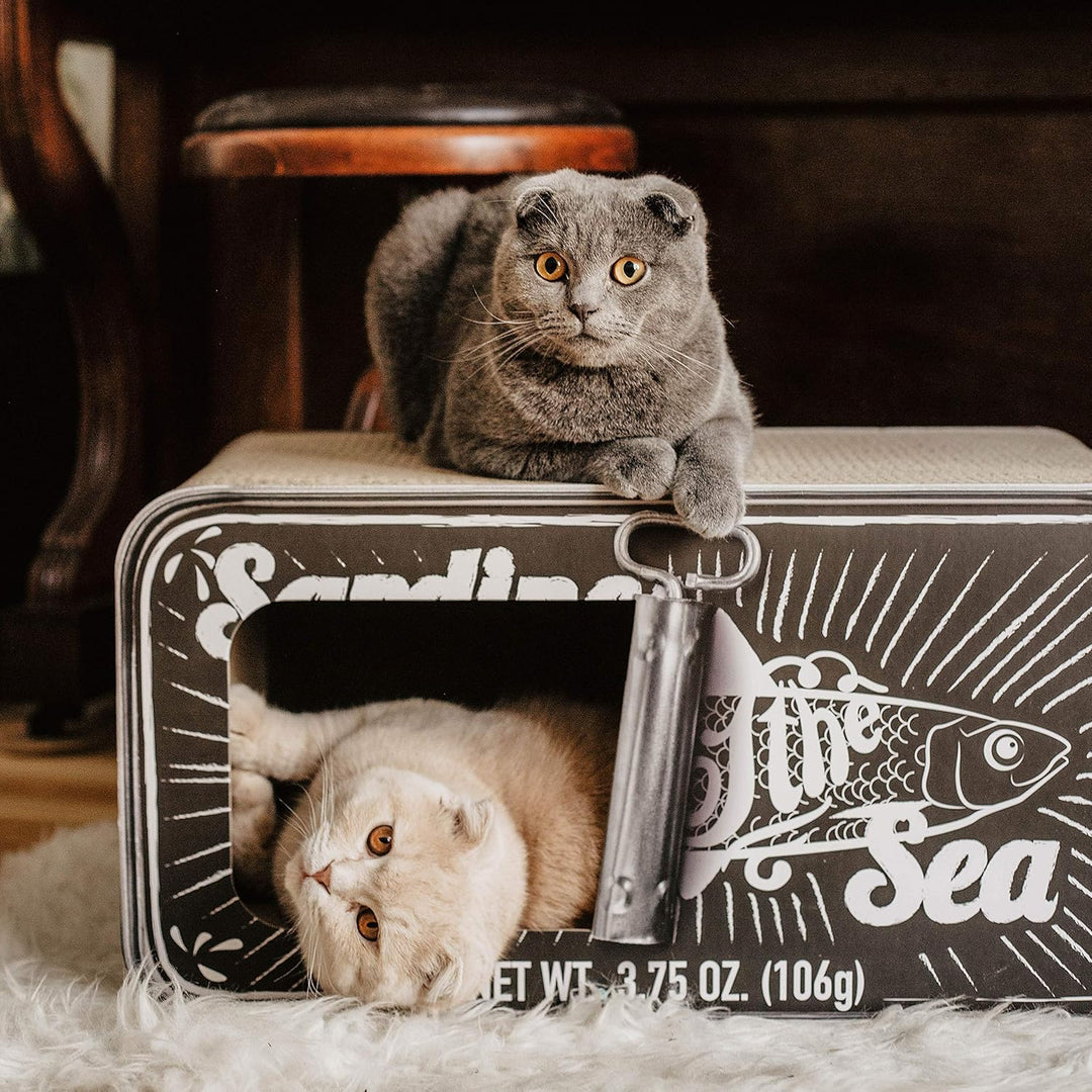 District 70 Sardine Kratzmöbel für Katzen aus Wellpappe - 60 x 30 x 30 cm (Einheitsgrösse) - Schwarz