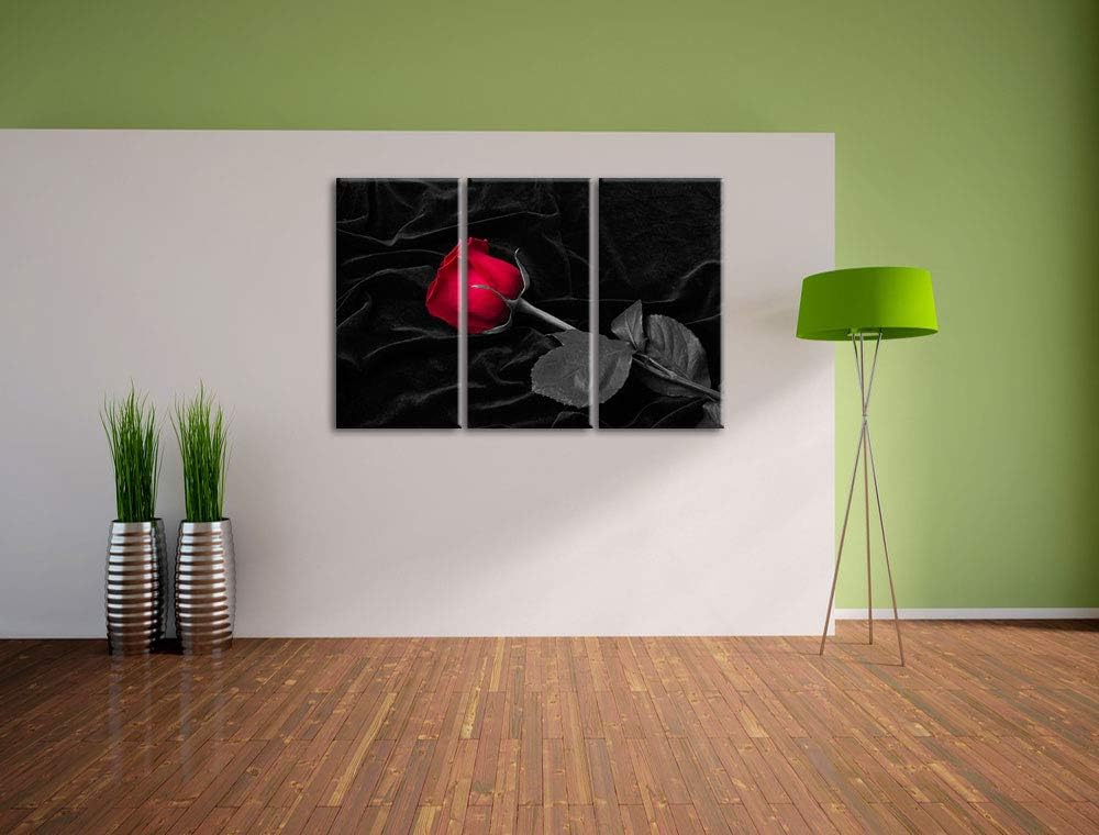 rote Rose gebettet auf schwarzem Samt schwarz/weiss 3-Teiler Leinwandbild 120x80 Bild auf Leinwand,