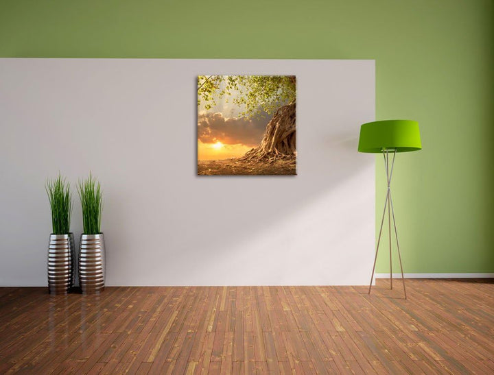 Pixxprint Baum / 70x70cm Leinwandbild bespannt auf Holzrahmen/Wandbild Kunstdruck Dekoration, 70x70