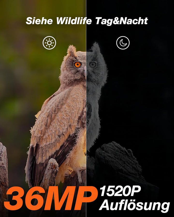 iZEEKER Solar Wildkamera, 2,7K/1520P 30fps 36MP Wildtierkamera mit 940 nm No Glow Infrarot LEDs, Wil