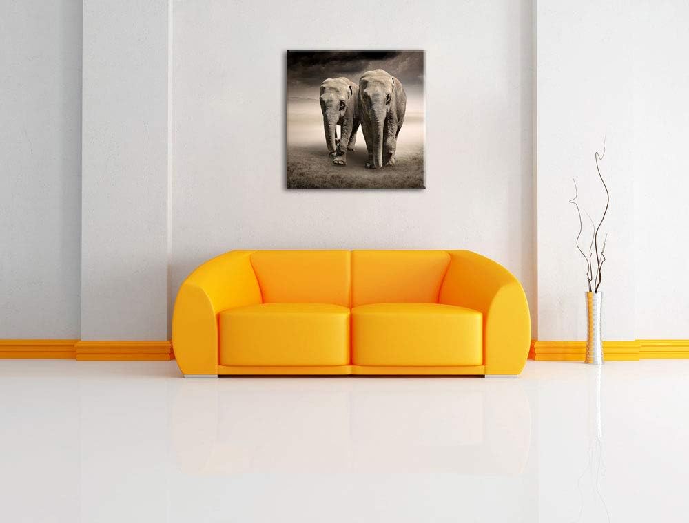 Pixxprint Zwei stolze Elefanten in Steppe als Leinwandbild/Grösse: 70x70 / Wandbild/Kunstdruck/ferti