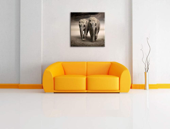 Pixxprint Zwei stolze Elefanten in Steppe als Leinwandbild/Grösse: 70x70 / Wandbild/Kunstdruck/ferti