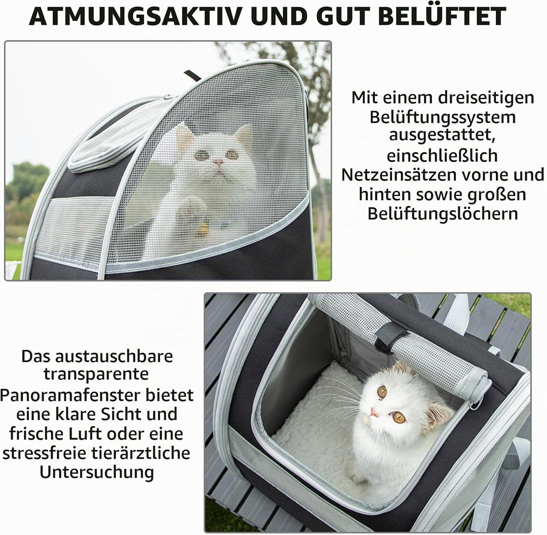 BORDEAG Katzenrucksack Hunderucksack, Katzen Rucksack, Hunderucksack Haustierrucksack, Katzen Transp
