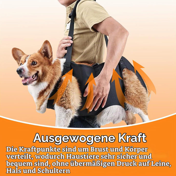 YOUNGSAY Tragehilfe Hund, Verstellbare Tragegurt Hund, Gross Hunde Tragehilfe für Behinderte, Blindh
