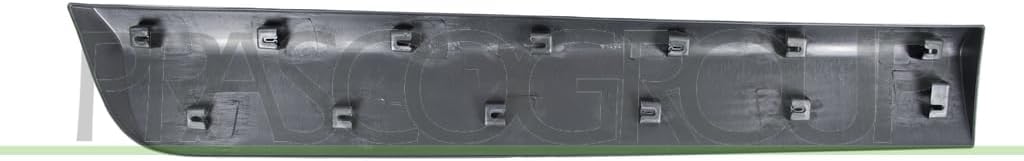 Schutzleiste Tür hinten links schwarz