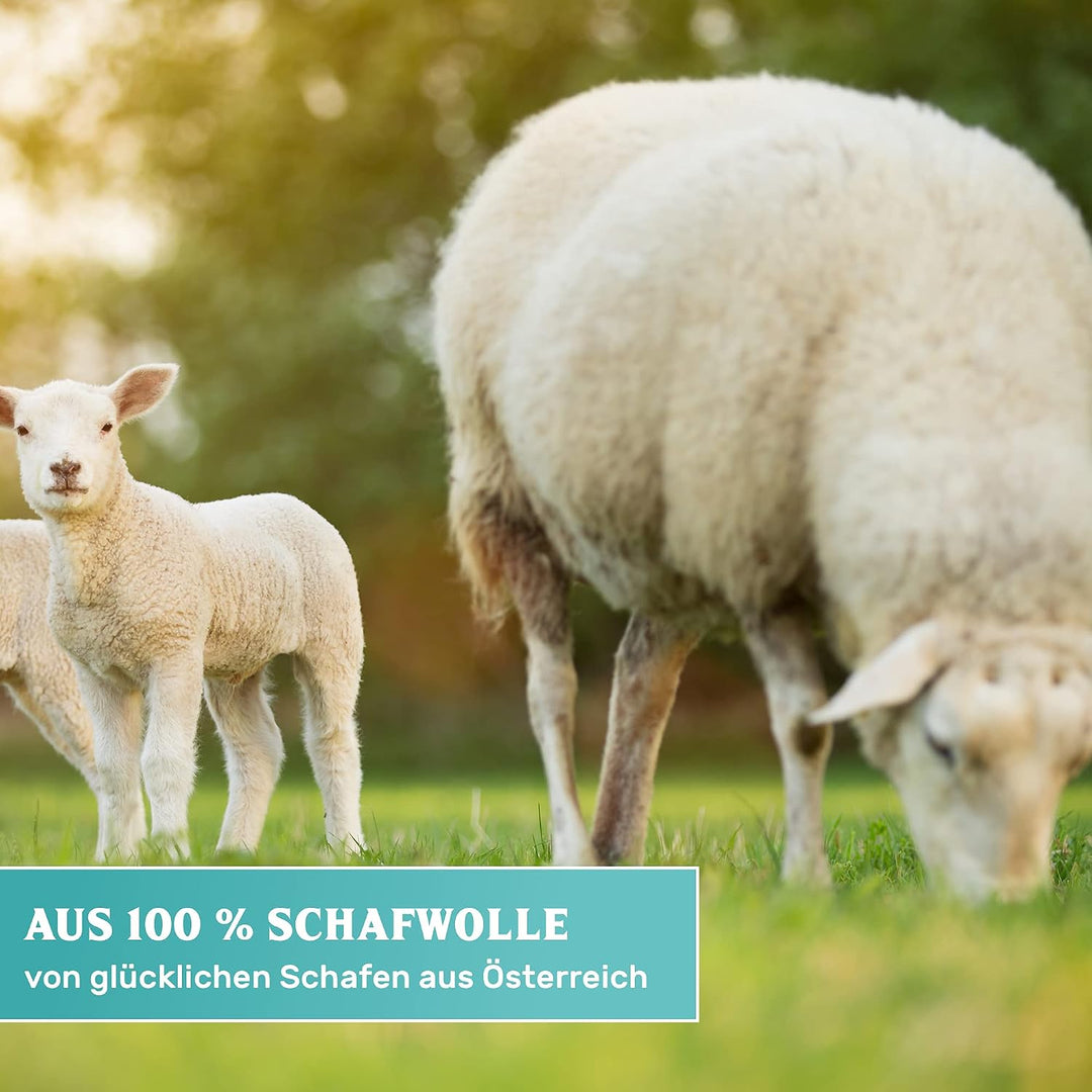 Greenwood Soft-Sheep Padhalter Pro, Super-Allround Pad Set 12Stück &amp; Teleskopstiel - Parkett ölen, n
