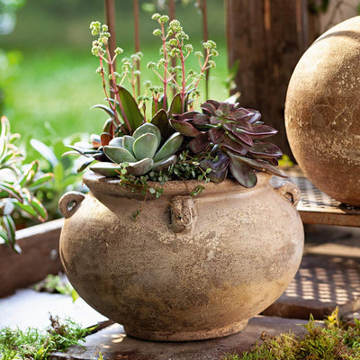 Dekoleidenschaft Pflanzkugel “Terracotta” rustikal Pflanzer Ø 26 cm, braun, Blumentopf, Blumen-Übert