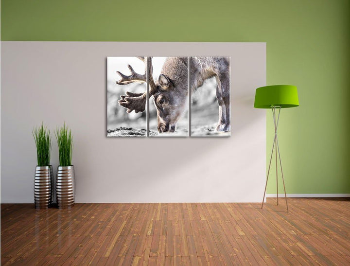 Pixxprint süsses Rentier beim Essen / 3-Teilig/Gesamtmass 120cm Leinwandbild bespannt auf Holzrahmen