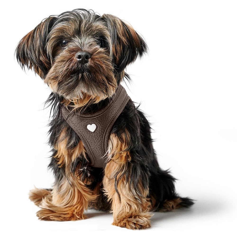 Hunter Hundegeschirr Love, Farbe: braun, weiches Rindsleder, atmungsaktive Mesh-Polsterung, Herz han