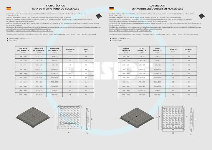 EINSIDE Schachtabdeckung Klasse C250 aus Sphäroguss, Kontrollschacht Schachtdeckel aus Gusseisen, Ro