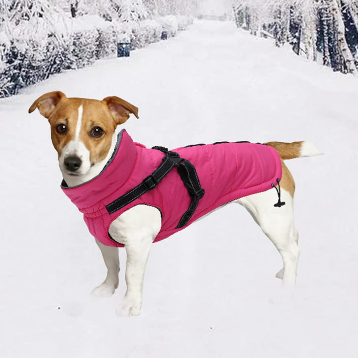 MOREZI Winterhundejacke, wasserdichte Aussenschicht, Fleecefutter, Rückenreissverschluss-Design, mit
