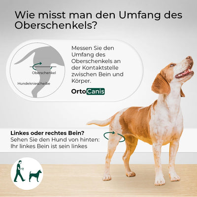 Ortocanis - Kniebandage Hund Hinterbein für das Linke Bein - Hergestellt aus Neopren ARD - Bei Kreuz